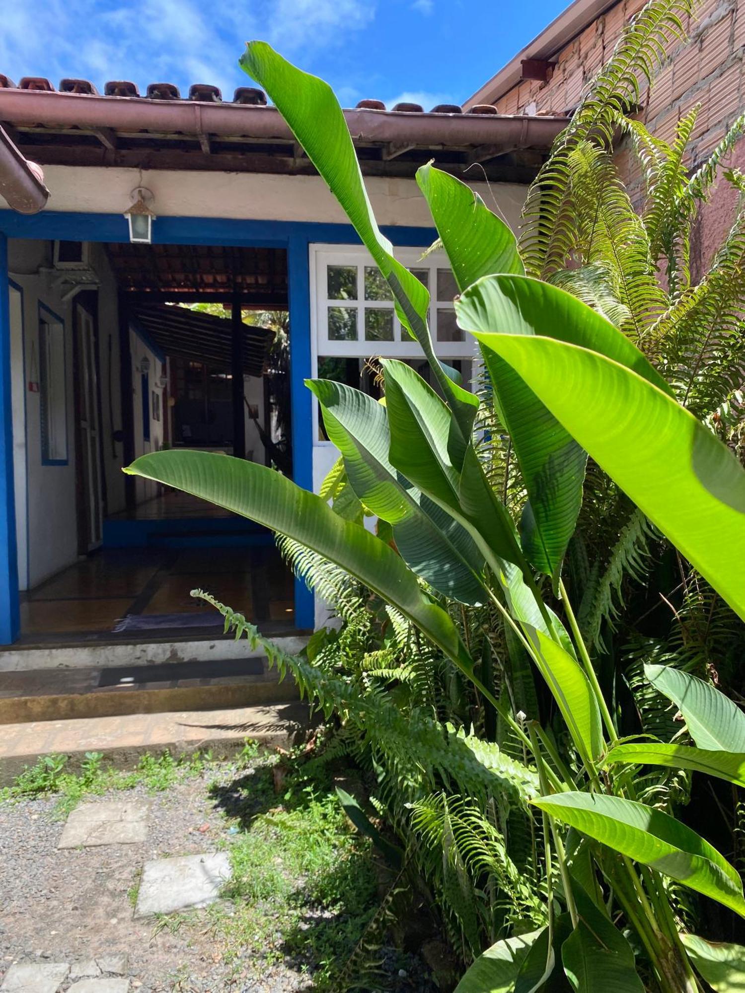 Tropicalia Hostel E Pousada Itacaré Zewnętrze zdjęcie