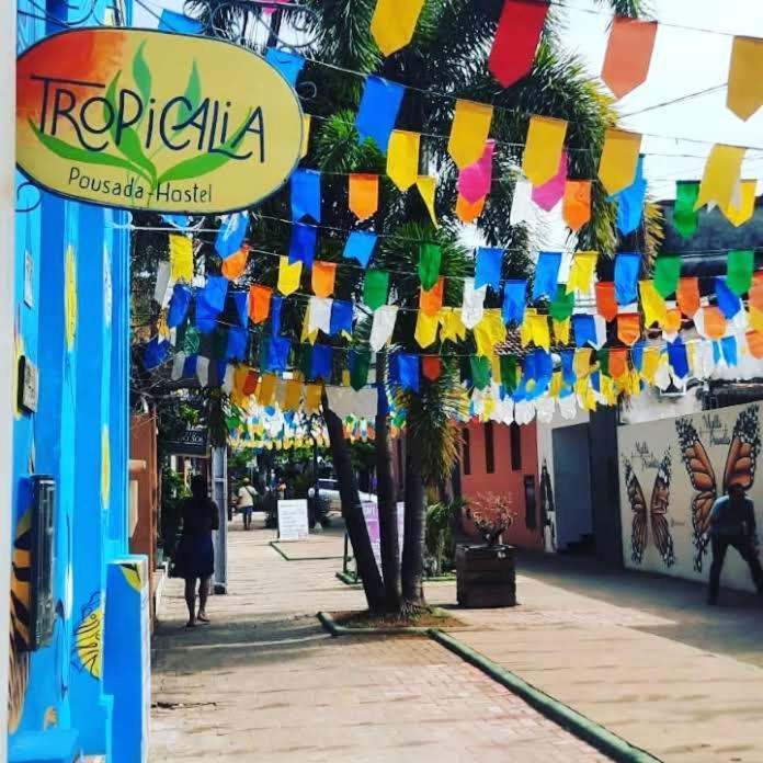 Tropicalia Hostel E Pousada Itacaré Zewnętrze zdjęcie